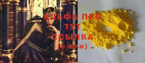 индика Абдулино
