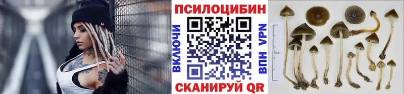 Галлюциногенные грибы мухоморы Катайск
